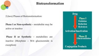 Biotransformation
2 (two) Phases of Biotransformation:
Phase I or Non-synthetic – metabolite may be
active or inactive
Phase II or Synthetic – metabolites are
inactive (Morphine – M-6 glucouronide is
exception)
 