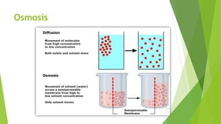 Osmosis
 