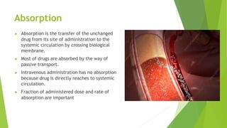 Absorption
▶ Absorption is the transfer of the unchanged
drug from its site of administration to the
systemic circulation by crossing biological
membrane.
▶ Most of drugs are absorbed by the way of
passive transport.
▶ Intravenous administration has no absorption
because drug is directly reaches to systemic
circulation.
▶ Fraction of administered dose and rate of
absorption are important
 