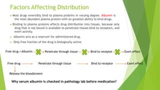 Factors Affecting Distribution
▶ Most drugs reversibly bind to plasma proteins in varying degree. Albumin is
the most abundant plasma protein with an greatest ability to bind drugs.
▶ Binding to plasma proteins affects drug distribution into tissues, because only
drug that is not bound is available to penetrate tissues bind to receptors, and
exert activity.
▶ Albumin acts as a reservoir for administered drug.
▶ Only free fraction of the drug is biologically active.
Free drug + Albumin Penetrate through tissue Bind to receptor Exert effect
Free drug Penetrate through tissue Bind to receptor Exert effect
Release the bloodstreem
Why serum albumin is checked in pathology lab before medication?
 