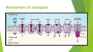 Mechanism of transport
 