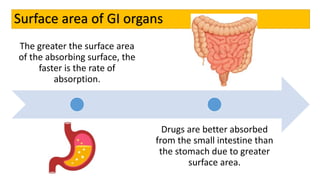 Surface area of GI organs
The greater the surface area
of the absorbing surface, the
faster is the rate of
absorption.
Drugs are better absorbed
from the small intestine than
the stomach due to greater
surface area.
 