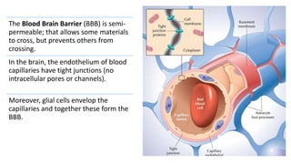 The Blood Brain Barrier (BBB) is semi-
permeable; that allows some materials
to cross, but prevents others from
crossing.
In the brain, the endothelium of blood
capillaries have tight junctions (no
intracellular pores or channels).
Moreover, glial cells envelop the
capillaries and together these form the
BBB.
 