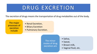 DRUG EXCRETION
The excretion of drugs means the transportation of drug metabolites out of the body.
• Renal Excretion,
• Biliary Excretion
• Pulmonary Excretion.
The major
processes of
excretion
include
• Saliva,
• Sweat,
• Breast milk,
• Vaginal fluid, etc.
The minor
routes of drug
excretion are
 