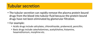 Tubular secretion
• The tubular secretion can rapidly remove the plasma protein bound
drugs from the blood into tubular fluid because the protein bound
drugs have not been eliminated by glomerular filtration.
• For example:
• Acidic drugs include salicylates, chlorothiazide, probenecid, penicillin;
• Basic drugs include catecholamines, acetylcholine, histamine,
hexamethonium, morphine etc.
 