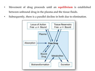 • Movement of drug proceeds until an equilibrium is established
between unbound drug in the plasma and the tissue fluids.
• Subsequently, there is a parallel decline in both due to elimination.
 