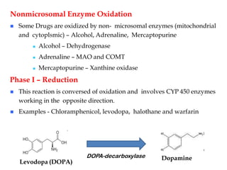 Nonmicrosomal Enzyme Oxidation
 Some Drugs are oxidized by non- microsomal enzymes (mitochondrial
and cytoplsmic) – Alcohol, Adrenaline, Mercaptopurine
 Alcohol – Dehydrogenase
 Adrenaline – MAO and COMT
 Mercaptopurine – Xanthine oxidase
Phase I – Reduction
 This reaction is conversed of oxidation and involves CYP 450 enzymes
working in the opposite direction.
 Examples - Chloramphenicol, levodopa, halothane and warfarin
Levodopa (DOPA)
Dopamine
DOPA-decarboxylase
 