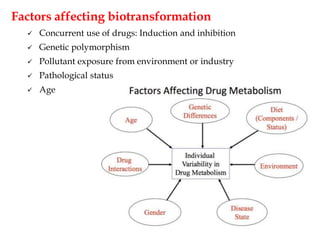 Factors affecting biotransformation
 Concurrent use of drugs: Induction and inhibition
 Genetic polymorphism
 Pollutant exposure from environment or industry
 Pathological status
 Age
 