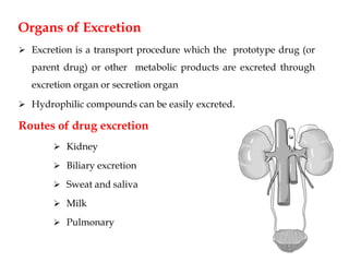 Organs of Excretion
 Excretion is a transport procedure which the prototype drug (or
parent drug) or other metabolic products are excreted through
excretion organ or secretion organ
 Hydrophilic compounds can be easily excreted.
Routes of drug excretion
 Kidney
 Biliary excretion
 Sweat and saliva
 Milk
 Pulmonary
 