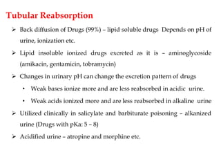 Tubular Reabsorption
 Back diffusion of Drugs (99%) – lipid soluble drugs Depends on pH of
urine, ionization etc.
 Lipid insoluble ionized drugs excreted as it is – aminoglycoside
(amikacin, gentamicin, tobramycin)
 Changes in urinary pH can change the excretion pattern of drugs
• Weak bases ionize more and are less reabsorbed in acidic urine.
• Weak acids ionized more and are less reabsorbed in alkaline urine
 Utilized clinically in salicylate and barbiturate poisoning – alkanized
urine (Drugs with pKa: 5 – 8)
 Acidified urine – atropine and morphine etc.
 