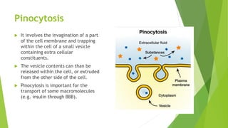 Pinocytosis
 It involves the invagination of a part
of the cell membrane and trapping
within the cell of a small vesicle
containing extra cellular
constituents.
 The vesicle contents can than be
released within the cell, or extruded
from the other side of the cell.
 Pinocytosis is important for the
transport of some macromolecules
(e.g. insulin through BBB).
 