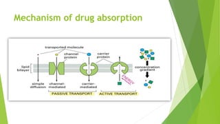 Mechanism of drug absorption
 
