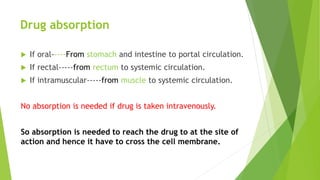 Drug absorption
 If oral-----From stomach and intestine to portal circulation.
 If rectal-----from rectum to systemic circulation.
 If intramuscular-----from muscle to systemic circulation.
No absorption is needed if drug is taken intravenously.
So absorption is needed to reach the drug to at the site of
action and hence it have to cross the cell membrane.
 