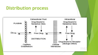 Distribution process
 