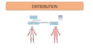 DISTRIBUTION
 