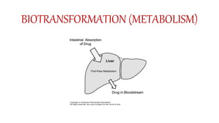 BIOTRANSFORMATION (METABOLISM)
 