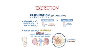 EXCRETION
 