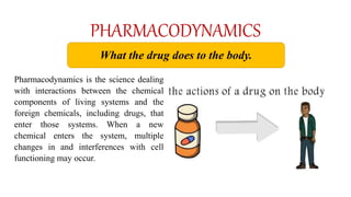 PHARMACODYNAMICS
Pharmacodynamics is the science dealing
with interactions between the chemical
components of living systems and the
foreign chemicals, including drugs, that
enter those systems. When a new
chemical enters the system, multiple
changes in and interferences with cell
functioning may occur.
What the drug does to the body.
 