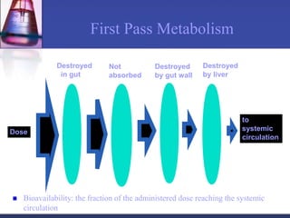 First Pass Metabolism
 Bioavailability: the fraction of the administered dose reaching the systemic
circulation
Dose
Destroyed
in gut
Not
absorbed
Destroyed
by gut wall
Destroyed
by liver
to
systemic
circulation
 