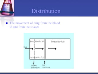 Distribution
 The movement of drug from the blood
to and from the tissues
 