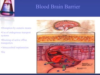 Blood Brain Barrier
•Disruption by osmotic means
•Use of endogenous transport
systems
•Blocking of active efflux
transporters
• Intracerebral implantation
•Etc
 