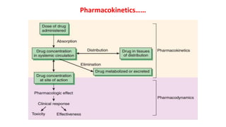 Pharmacokinetics of drugs , detailes of drug ADME.pptx
