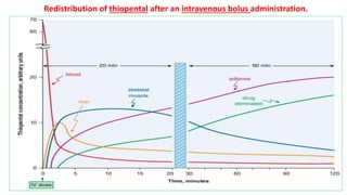 Pharmacokinetics of drugs , detailes of drug ADME.pptx