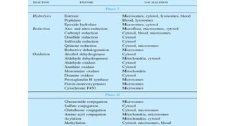 Pharmacokinetics of drugs , detailes of drug ADME.pptx