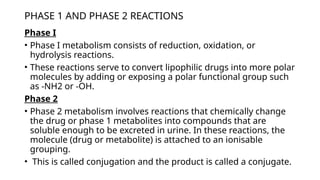 Understanding Pharmacokinetics of Drug | PPTX