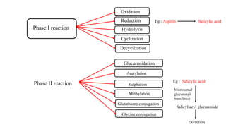 PHARMACOKINETICS- BPHARM SYLLABUS- UNIT I | PPTX