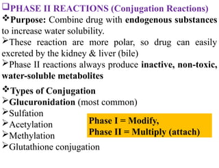 PHASE II REACTIONS (Conjugation Reactions)
Purpose: Combine drug with endogenous substances
to increase water solubility.
These reaction are more polar, so drug can easily
excreted by the kidney & liver (bile)
Phase II reactions always produce inactive, non-toxic,
water-soluble metabolites
Types of Conjugation
Glucuronidation (most common)
Sulfation
Acetylation
Methylation
Glutathione conjugation
Phase I = Modify,
Phase II = Multiply (attach)
 