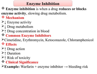  Enzyme inhibition is when a drug reduces or blocks
enzyme activity, slowing drug metabolism.
 Mechanism
↓ Enzyme activity
↓ Drug metabolism
↑ Drug concentration in blood
 Common Enzyme Inhibitors
Cimetidine, Erythromycin, Ketoconazole, Chloramphenicol
 Effects
↑ Drug action
↑ Duration
↑ Risk of toxicity
 Clinical Significance
Example: Warfarin + enzyme inhibitor → bleeding risk
Enzyme Inhibition
 