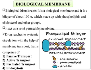 Biological Membrane: It is a biological membrane and it is a
bilayer of about 100 A, which made up with phospholipids and
cholesterol and other groups.
It act as a semi permeable membrane.
Drug reaches to systemic
circulation with the help of
membrane transport, that is
comprises of
1) Passive Transport
2) Active Transport
3) Faciliated Transport
4) Endocytosis
BIOLOGICAL MEMBRANE
 