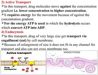3) Active Transport
In this transport, drug molecules move against the concentration
gradient i.e. lower concentration to higher concentration.
It requires energy for the movement because of against the
concentration gradient.
For the energy ATP is used in which the hydrolysis occurs
which convert ATP into ADP.
4) Endocytosis
In this transport, drug of very large size get transport via
engulfment (eat) by cell membrane.
Because of enlargement of size it does not fit in any channel for
transport and also can not cross membrane too.
 