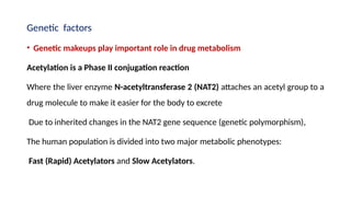 Genetic factors
• Genetic makeups play important role in drug metabolism
Acetylation is a Phase II conjugation reaction
Where the liver enzyme N-acetyltransferase 2 (NAT2) attaches an acetyl group to a
drug molecule to make it easier for the body to excrete
Due to inherited changes in the NAT2 gene sequence (genetic polymorphism),
The human population is divided into two major metabolic phenotypes:
Fast (Rapid) Acetylators and Slow Acetylators.
 