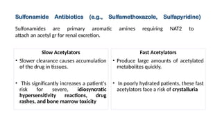 Slow Acetylators
• Slower clearance causes accumulation
of the drug in tissues.
• This significantly increases a patient's
risk for severe, idiosyncratic
hypersensitivity reactions, drug
rashes, and bone marrow toxicity
Fast Acetylators
• Produce large amounts of acetylated
metabolites quickly.
• In poorly hydrated patients, these fast
acetylators face a risk of crystalluria
Sulfonamide Antibiotics (e.g., Sulfamethoxazole, Sulfapyridine)
Sulfonamides are primary aromatic amines requiring NAT2 to
attach an acetyl gr for renal excretion.
 
