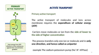 Active transport
Primary active transport
The active transport of molecules and ions across
membrane requires the expenditure of cellular energy
(ATP)
Carriers move molecules or ion from the side of lower to
the side of higher concentration
The process transfers only one ion or molecule and in only
one direction, and hence called as uniporter
example The sodium-potassium pump (Na⁺/K⁺-ATPase)
11
 