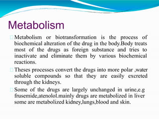 is gabapentin metabolized by the kidneys