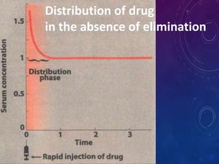 Distribution of drug
in the absence of elimination
 
