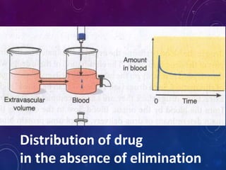 Distribution of drug
in the absence of elimination
 