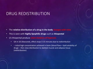 DRUG REDISTRIBUTION
• The relative distribution of a drug in the body changes with time
• This is seen with highly lipophilic drugs such as thiopental
• I/v thiopental produce short duration of hypnosis
• GA in 10-20seconds, effect stops 5-15 minutes due to redistribution
• – initial high concentration achieved in brain (blood flow + lipid solubility of
drug)--- then slow distribution to skeletal muscle and adipose tissue
(redistribution)
 