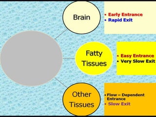 11/9/201111/9/2011
RedistributionRedistribution
11/9/201111/9/2011
BLOODBLOOD
 