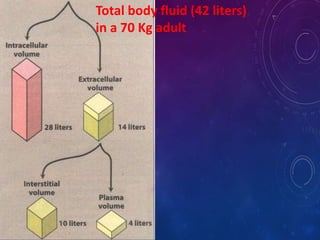 Total body fluid (42 liters)
in a 70 Kg adult
 