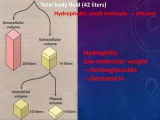 Total body fluid (42 liters)
Hydrophobic small molecule --- ethanol
Hydrophilic
low molecular weight
---Aminoglycoside
---Gentamicin
 