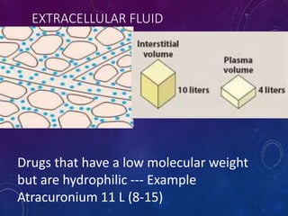 EXTRACELLULAR FLUID
Drugs that have a low molecular weight
but are hydrophilic --- Example
Atracuronium 11 L (8-15)
 