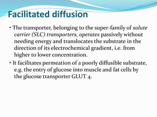 Facilitated diffusion
• The transporter, belonging to the super-family of solute
carrier (SLC) transporters, operates passively without
needing energy and translocates the substrate in the
direction of its electrochemical gradient, i.e. from
higher to lower concentration.
• It facilitates permeation of a poorly diffusible substrate,
e.g. the entry of glucose into muscle and fat cells by
the glucose transporter GLUT 4.
 
