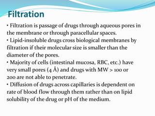 Filtration
• Filtration is passage of drugs through aqueous pores in
the membrane or through paracellular spaces.
• Lipid-insoluble drugs cross biological membranes by
filtration if their molecular size is smaller than the
diameter of the pores.
• Majority of cells (intestinal mucosa, RBC, etc.) have
very small pores (4 Å) and drugs with MW > 100 or
200 are not able to penetrate.
• Diffusion of drugs across capillaries is dependent on
rate of blood flow through them rather than on lipid
solubility of the drug or pH of the medium.
 