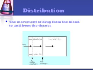 Distribution
 The movement of drug from the blood
to and from the tissues
 