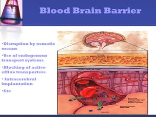 Blood Brain Barrier
•Disruption by osmotic
means
•Use of endogenous
transport systems
•Blocking of active
efflux transporters
• Intracerebral
implantation
•Etc
 