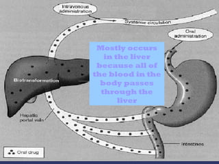 Mostly occurs
in the liver
because all of
the blood in the
body passes
through the
liver
 